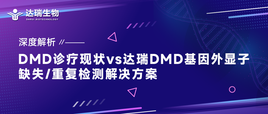 深度解析｜DMD诊疗现状vs达瑞DMD基因外显子缺失/重复检测解决方案